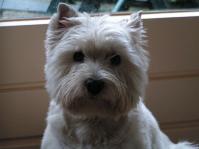 Klik op de foto voor groter formaat